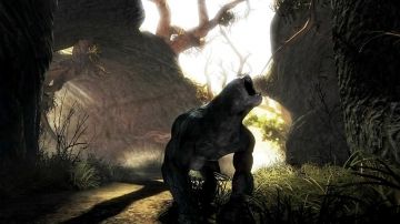 Immagine -5 del gioco Risen per Xbox 360