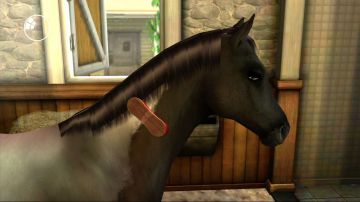 Immagine -11 del gioco My Horse & Me 2 per Xbox 360