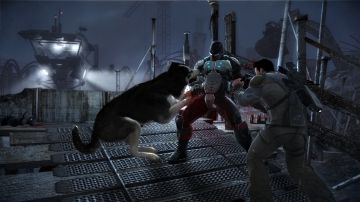 Immagine 35 del gioco Dead to Rights : Retribution per PlayStation 3
