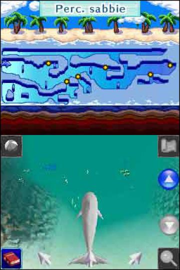 Immagine -5 del gioco Il Mio Cucciolo: Allegri Delfini per Nintendo DS
