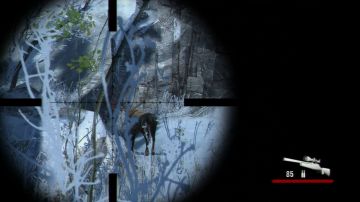 Immagine 9 del gioco Cabela's Dangerous Hunts 2011 per PlayStation 3