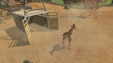 Immagine -13 del gioco Zoo Tycoon per Xbox One