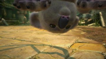 Immagine -7 del gioco Kinectimals Ora con gli orsi per Xbox 360
