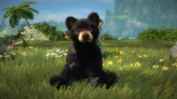 Immagine -11 del gioco Kinectimals Ora con gli orsi per Xbox 360