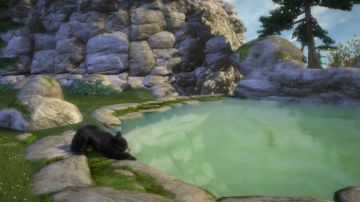 Immagine -10 del gioco Kinectimals Ora con gli orsi per Xbox 360