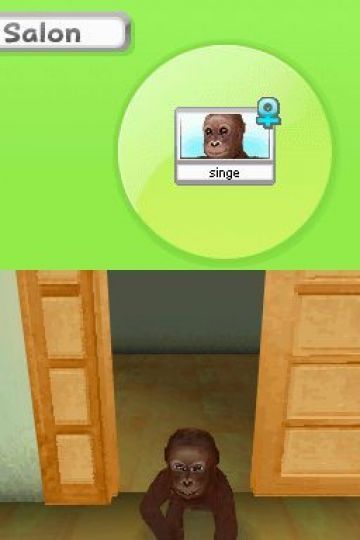 Immagine -13 del gioco Petz: My Monkey Family per Nintendo DS