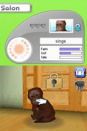 Immagine 0 del gioco Petz: My Monkey Family per Nintendo DS
