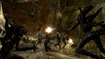 Immagine -14 del gioco Aliens vs Predator per Xbox 360