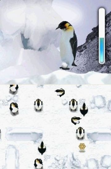 Immagine -5 del gioco March of the Penguins per Nintendo DS