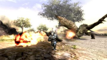 Immagine -8 del gioco Monster Hunter Tri per Nintendo Wii