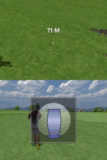 Immagine -4 del gioco Tiger Woods PGA Tour 08 per Nintendo DS