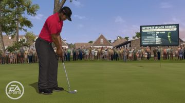 Immagine -15 del gioco Tiger Woods PGA Tour 10 per Xbox 360