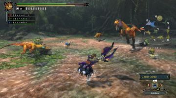 Immagine 1 del gioco Monster Hunter 3 Ultimate per Nintendo Wii U