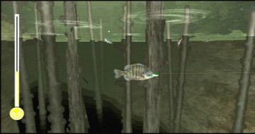 Immagine -14 del gioco Reel Fishing: Life & Nature per PlayStation PSP