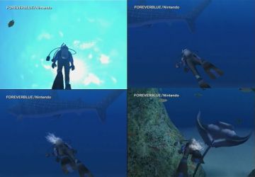 Immagine -2 del gioco Endless ocean per Nintendo Wii