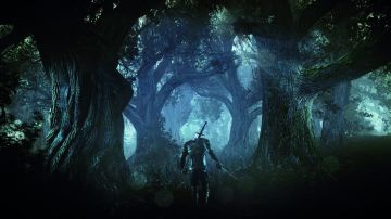 Immagine 26 del gioco The Witcher 3: Wild Hunt per Xbox One