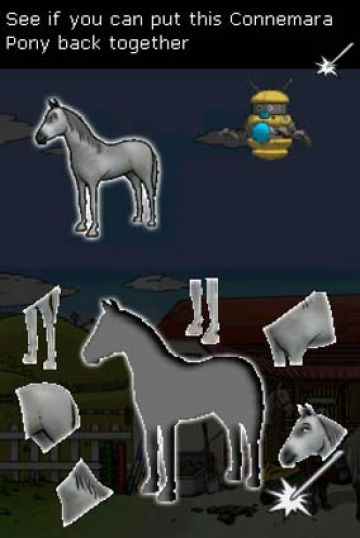 Immagine -4 del gioco Clever Kids - Pony World per Nintendo DS