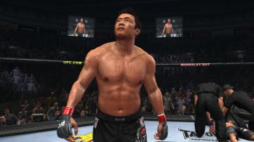 Immagine -10 del gioco UFC 2010 Undisputed per PlayStation 3