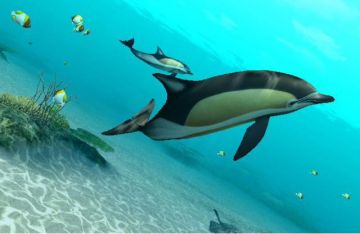 Immagine 7 del gioco Endless ocean 2 Avventure Negli Abissi per Nintendo Wii
