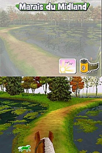 Immagine -11 del gioco Pony Friends per Nintendo DS