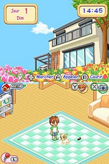 Immagine -1 del gioco Dogz per Nintendo DS