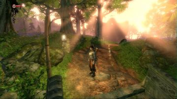 Immagine -17 del gioco Fable 2 per Xbox 360
