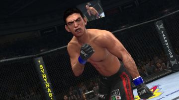Immagine 1 del gioco UFC 2010 Undisputed per Xbox 360