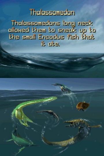 Immagine -16 del gioco Sea Monsters: A Prehistoric Adventure per Nintendo DS
