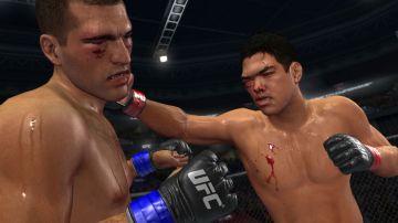 Immagine 38 del gioco UFC 2010 Undisputed per PlayStation 3