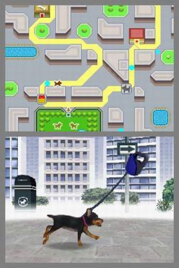 Immagine -17 del gioco Nintendogs: Chihuahua and Friends per Nintendo DS