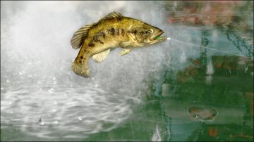 Immagine -15 del gioco Rapala Pro Bass Fishing per Xbox 360