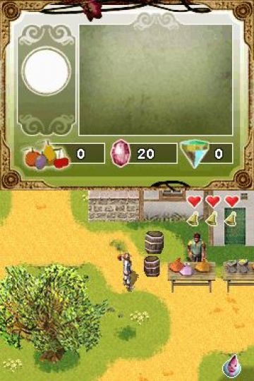 Immagine -10 del gioco La Licorne Magique per Nintendo DS