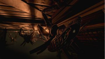 Immagine 3 del gioco Aliens vs Predator per PlayStation 3