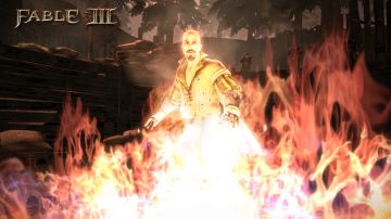 Immagine 18 del gioco Fable III per Xbox 360