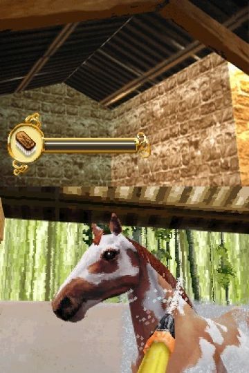 Immagine -14 del gioco Horse Life per Nintendo DS