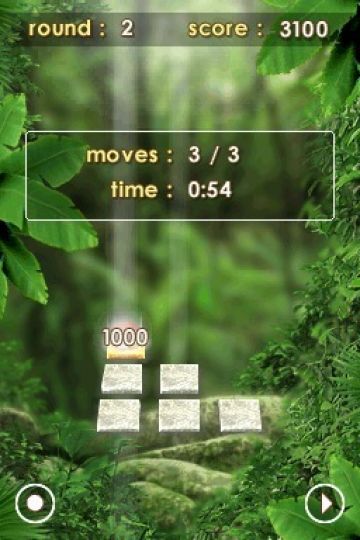 Immagine 0 del gioco Zenses Rainforest per Nintendo DS