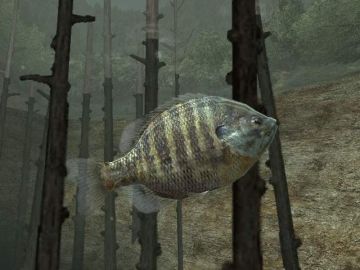 Immagine -5 del gioco Reel Fishing 3 per PlayStation 2