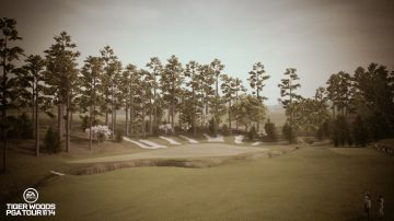 Immagine -4 del gioco Tiger Woods PGA Tour 14 per PlayStation 3