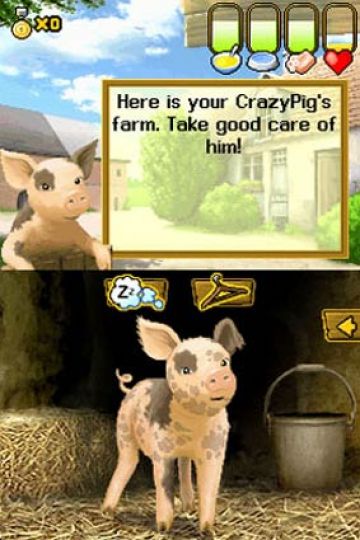 Immagine -16 del gioco Crazy Pig per Nintendo DS