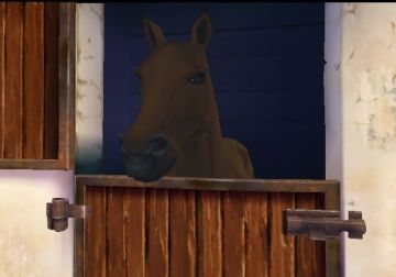 Immagine -17 del gioco Horse Life 2 avventure intorno al mondo per Nintendo Wii