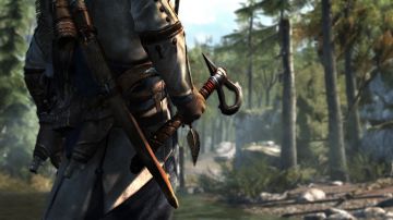 Immagine -8 del gioco Assassin's Creed III per PlayStation 3