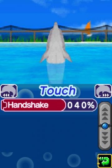 Immagine -13 del gioco My Pet Dolphin per Nintendo DS