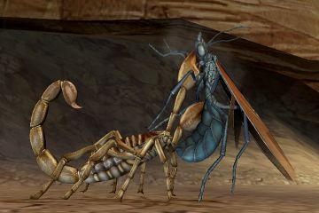 Immagine -1 del gioco Deadly Creatures per Nintendo Wii