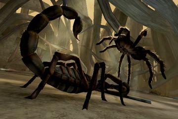 Immagine 2 del gioco Deadly Creatures per Nintendo Wii