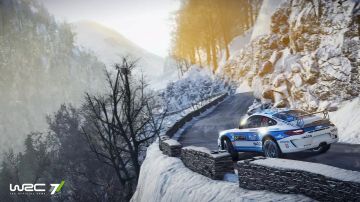 Immagine -11 del gioco WRC 7 per PlayStation 4