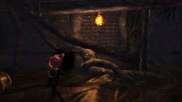 Immagine 26 del gioco Splatterhouse per PlayStation 3