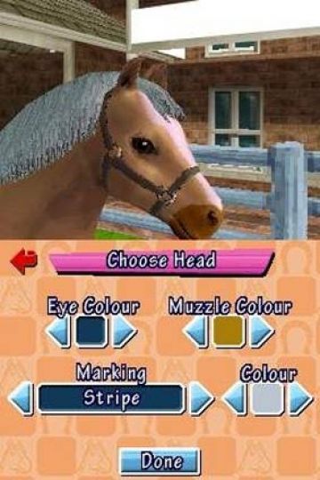 Immagine -14 del gioco Pony Friends per Nintendo DS
