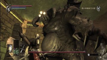 Immagine 4 del gioco Demon's Souls per PlayStation 3