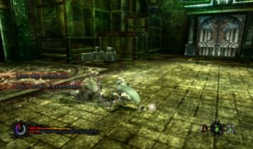Immagine -2 del gioco Pandora's Tower per Nintendo Wii