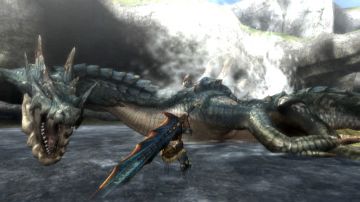 Immagine -2 del gioco Monster Hunter Tri per Nintendo Wii